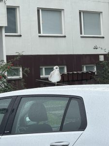 haittaako jos ajattelen ai:n kanssa