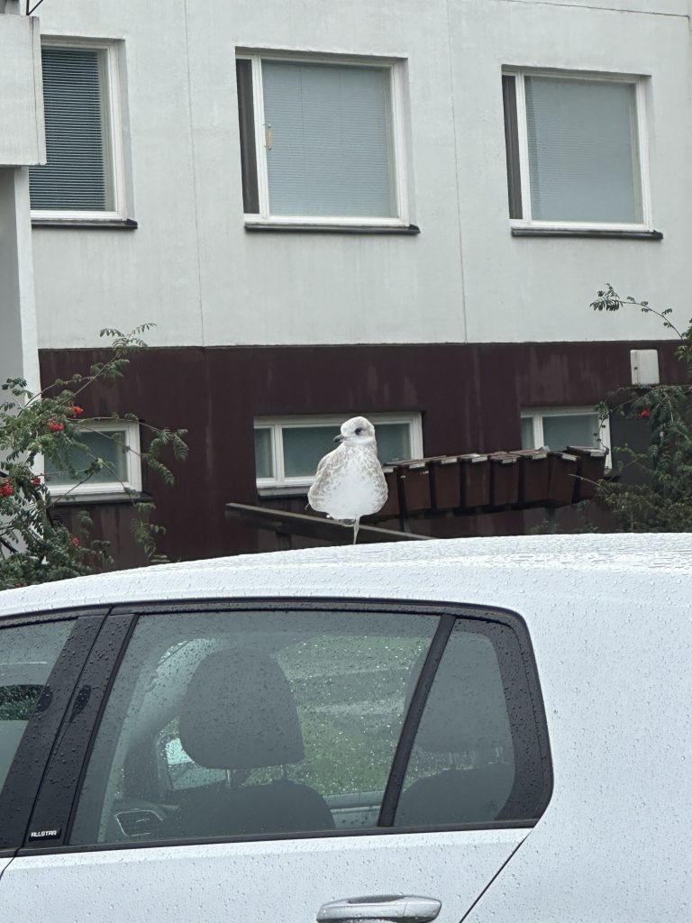 haittaako jos ajattelen ai:n kanssa